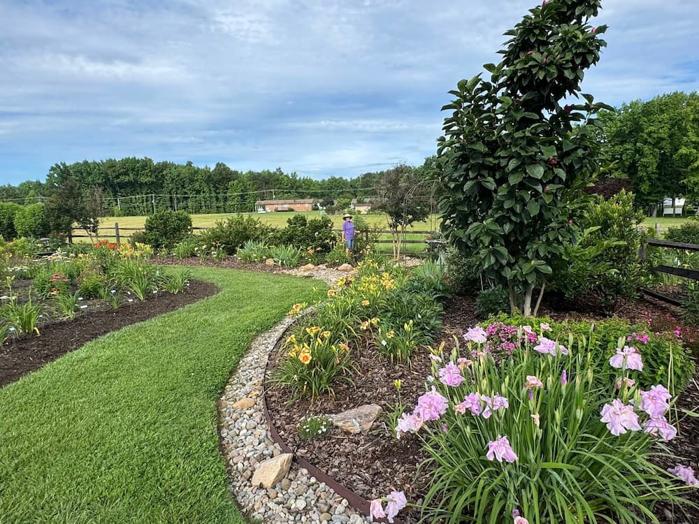 2025 Front Garden - CreativEdge Perennial Garden NC
