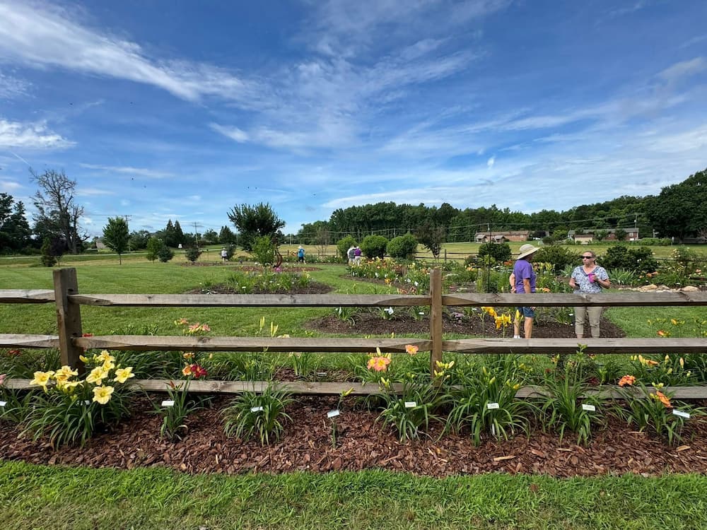 2025 Daylily Regional Conference - CreativEdge Perennials North Carolina
