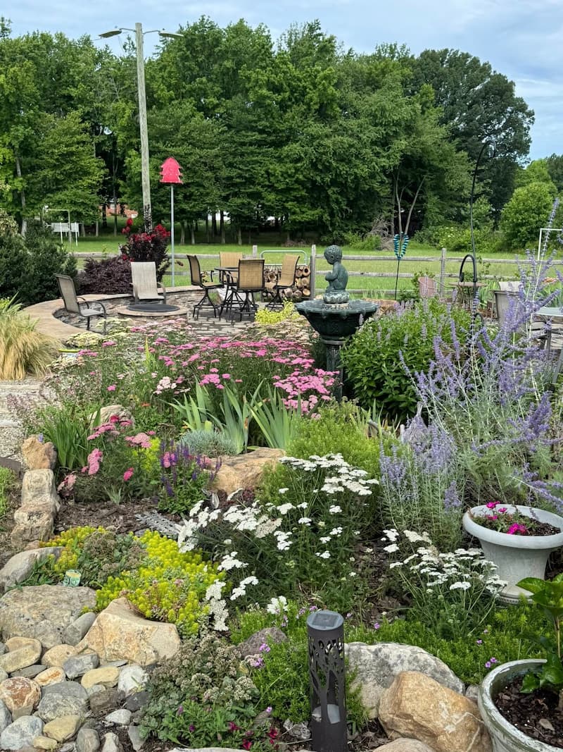 2025 Yarrow Bed - CreativEdge Perennials NC